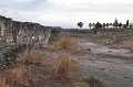 01 e_DSC_0004